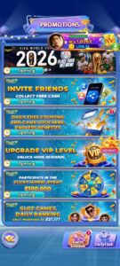 DIVAVIP 2